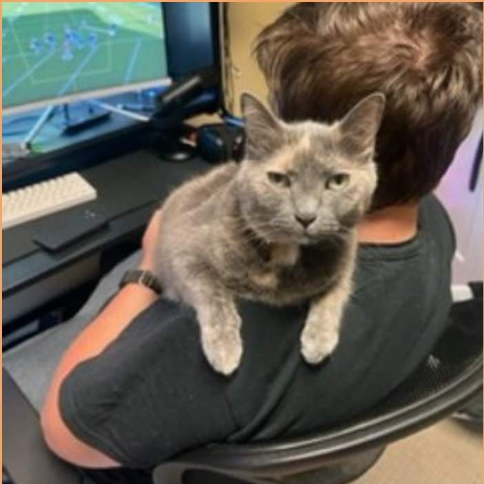 James and Gamer Cat